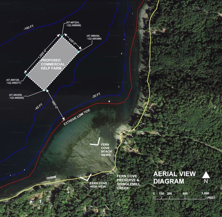 Aerial layout showing the location of the porposed commercial kelp farm called Vashon Kelp Forest showing its proximity to Fern Cove Nature Presesrve and the many residences in the area.
